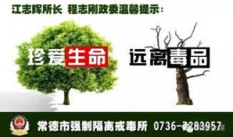 常德新闻爆料微信,揭秘本地热点事件背后的真相
